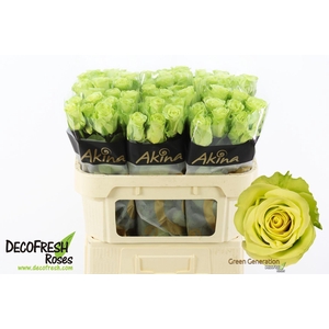 R Gr Green Generation