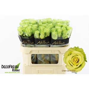 R Gr Green Generation