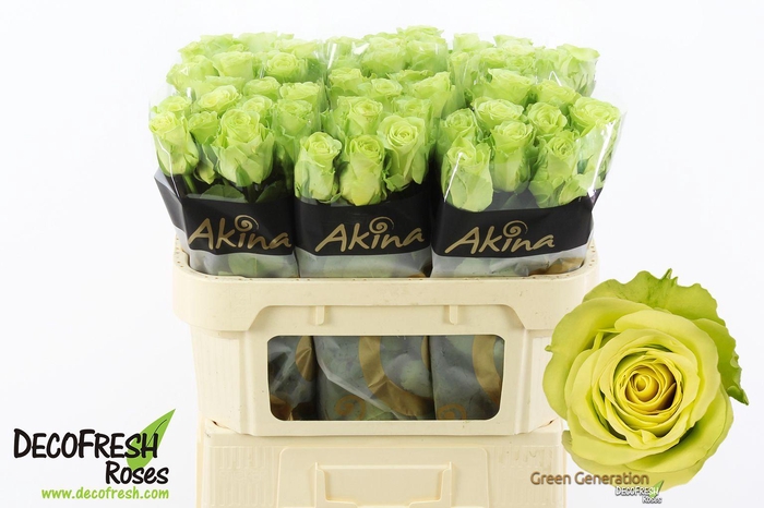 <h4>R Gr Green Generation</h4>