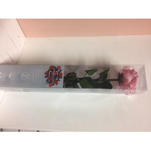 Roos op steel xl Plexi 55cm Pastel pink