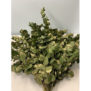 METAL CINEREA  ANTIQUE GOLD 200GR