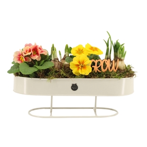 11464: Outdoor spring arrangement