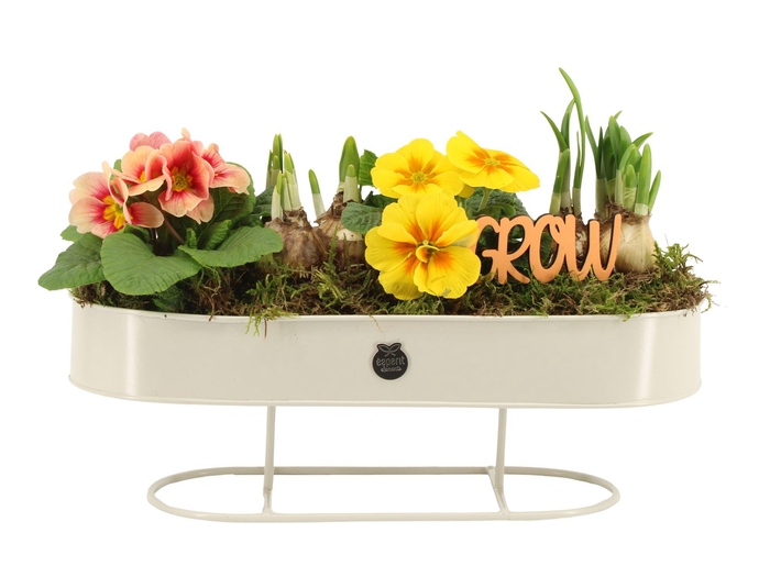 <h4>11464: Outdoor spring arrangement</h4>