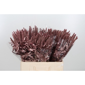 Veronica Kl Bh Rose Goud