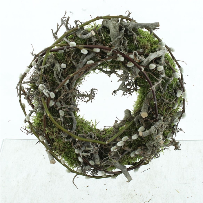 <h4>Wreath Mos Bonsai Salix 30cm</h4>