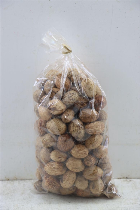 Amra Nut 500gr Bag (±120pcs)