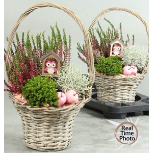 ARR TUINPLANTEN