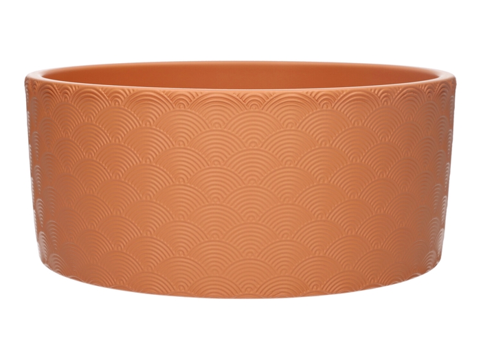 <h4>DF03-884725900 - Planter Napoli d18.5xh9 toscana</h4>