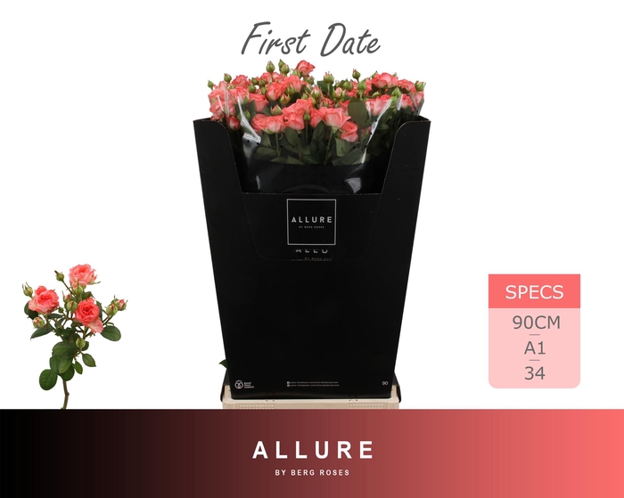 <h4>R TR FIRST DATE ALLURE 90 cm</h4>