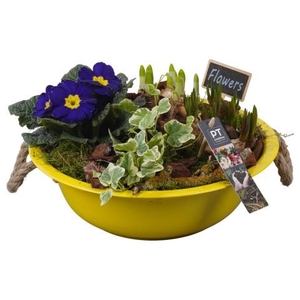 PTBM3706 Arrangementen Tuinplanten