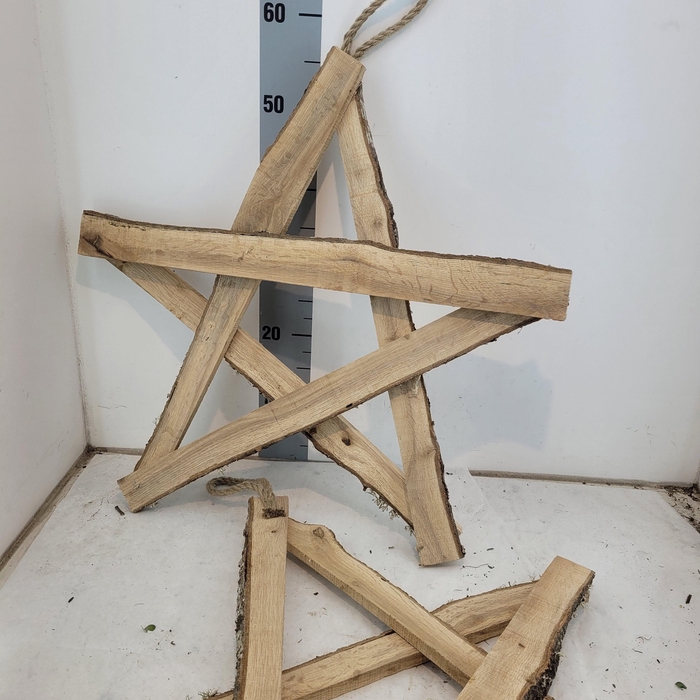 <h4>HUIS EN TUINDECO OV</h4>