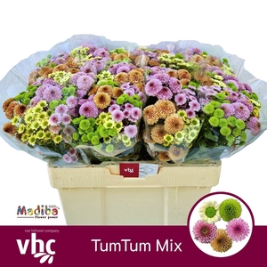 Chr San Mix X80 TumTum Helvoort