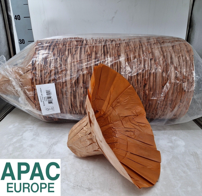 <h4>BOEKETHOUDER H%</h4>