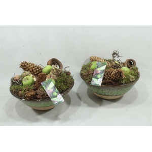 arr4 Amaryllis MBD77 - Ker. Schaal Deluxe 2 bollen