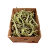 Perenhout Box