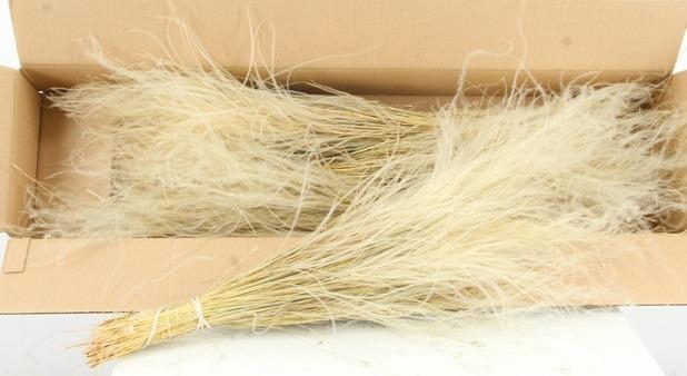 <h4>DF Stypha Penatta Bs Natural</h4>