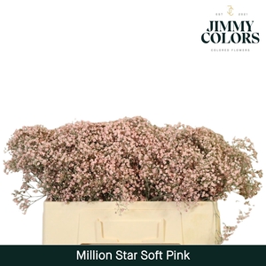 Gyps Million Star l50 Soft pink
