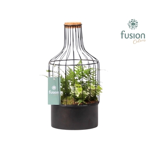 Metaal fles zwart Small met Arrangement