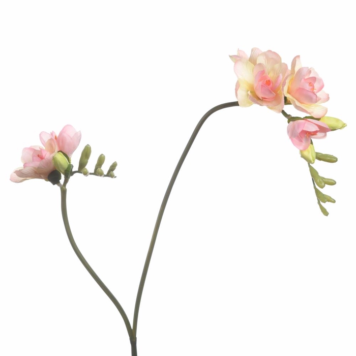 <h4>Af Freesia X2 L74cm L.pink</h4>