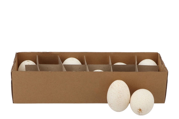 <h4>Eggs Kalkoen Uitgeblazen Per 12 Stuks</h4>