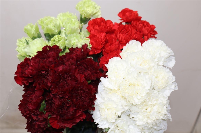 <h4>Di St Kerstmix</h4>