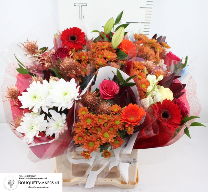 <h4>GEM BOEKET OV</h4>