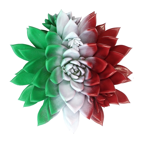 Miranda coloured flag Italy