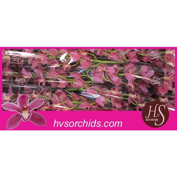 <h4>Cymb T Bryce 80 Cm</h4>