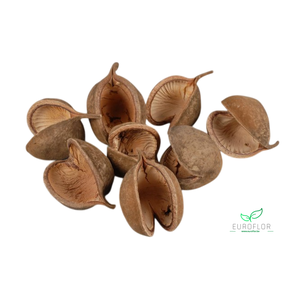 BUDDHA NUTS NATUREL 8pcs