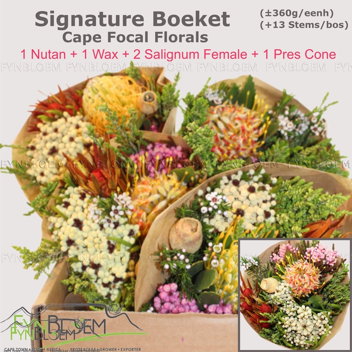<h4>PROTEA PER BOS</h4>