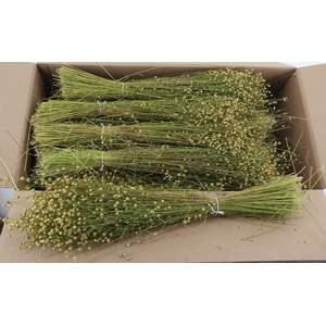 DF linium(Vlas) Bs 180g