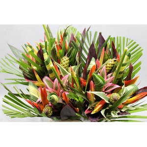 Heliconia Bqt Bamba Rond