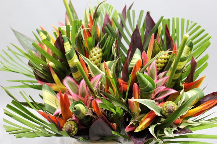 Heliconia Bqt Bamba Rond