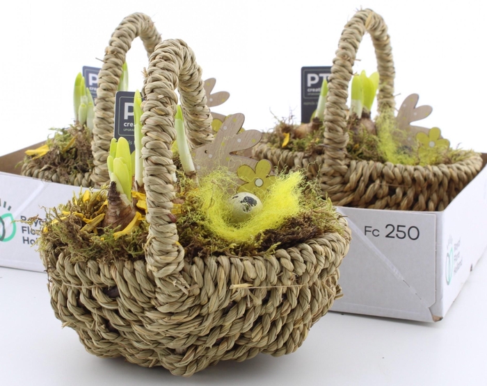 <h4>ARR N TETE A TETE</h4>