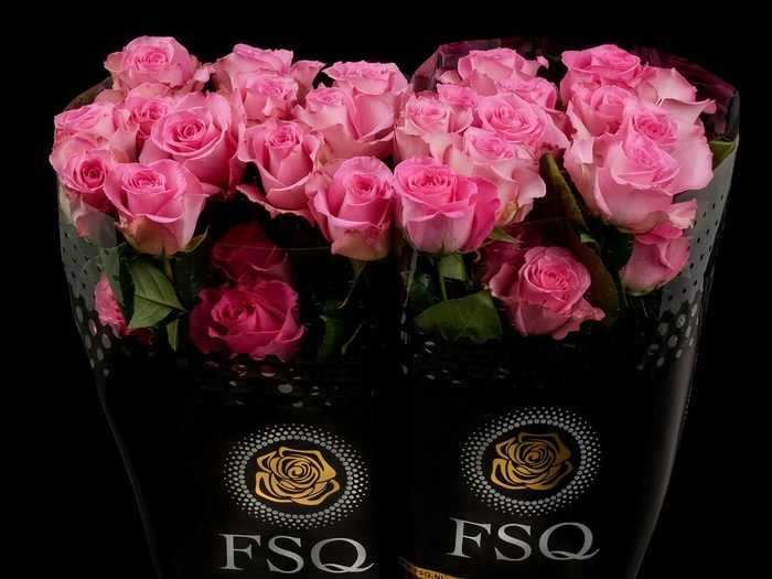 <h4>R GR Sweet Unique</h4>