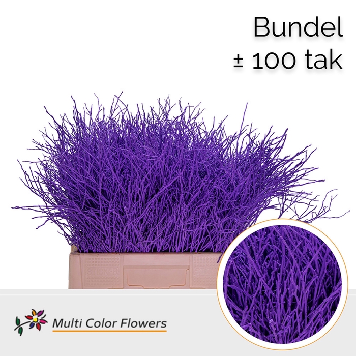 <h4>Heidelbeer (Bundel) Lila Donker</h4>