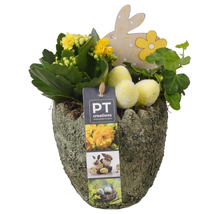 <h4>6607 IND GREEN EGG</h4>