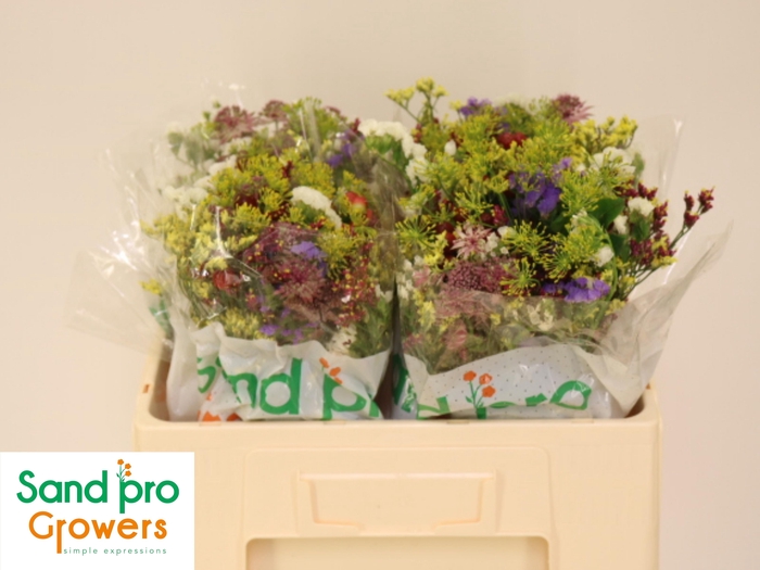 <h4>GEM ZOMERBOEKET</h4>