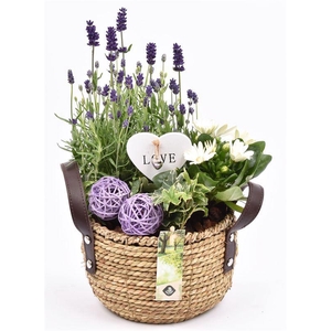 Touwmand met leer handv.20-22cm