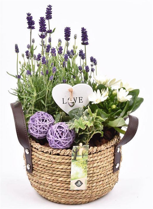 <h4>Touwmand met leer handv.20-22cm</h4>