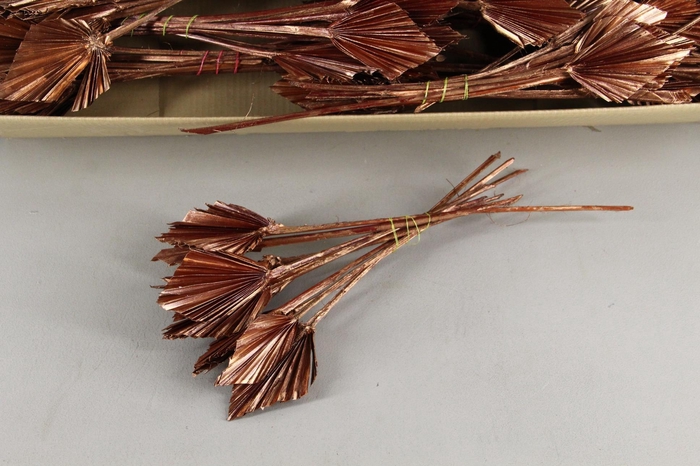 <h4>DF Palm Spear Small Copper Red</h4>