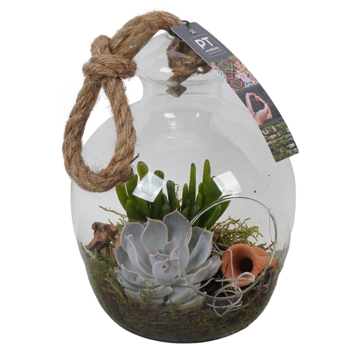 <h4>PTGIG2106 Arrangement Greens in glass in glazen terrarium</h4>