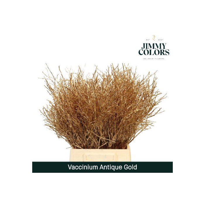 <h4>Vaccinium L50 Antiek Goud</h4>