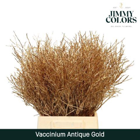 <h4>Vaccinium L50 Antiek goud</h4>