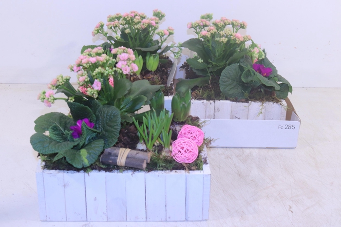 <h4>Arr Pl In Schaal</h4>