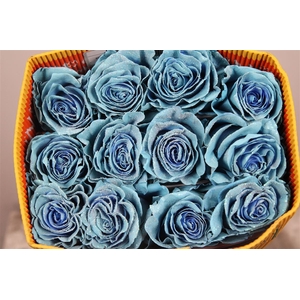 R Gr Bubbly Blue Glitter Ec