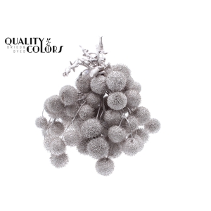 Small ball per bunch in poly Champagne