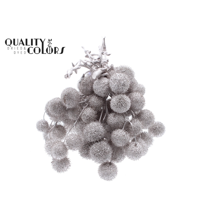 <h4>Small ball per bunch in poly Champagne</h4>