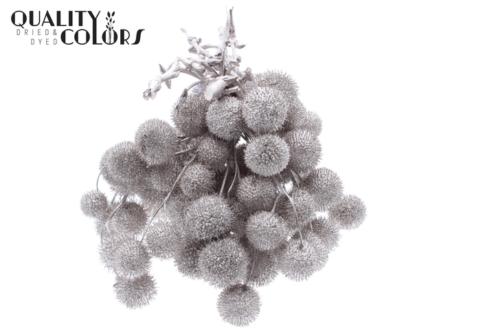 Small ball per bunch in poly Champagne