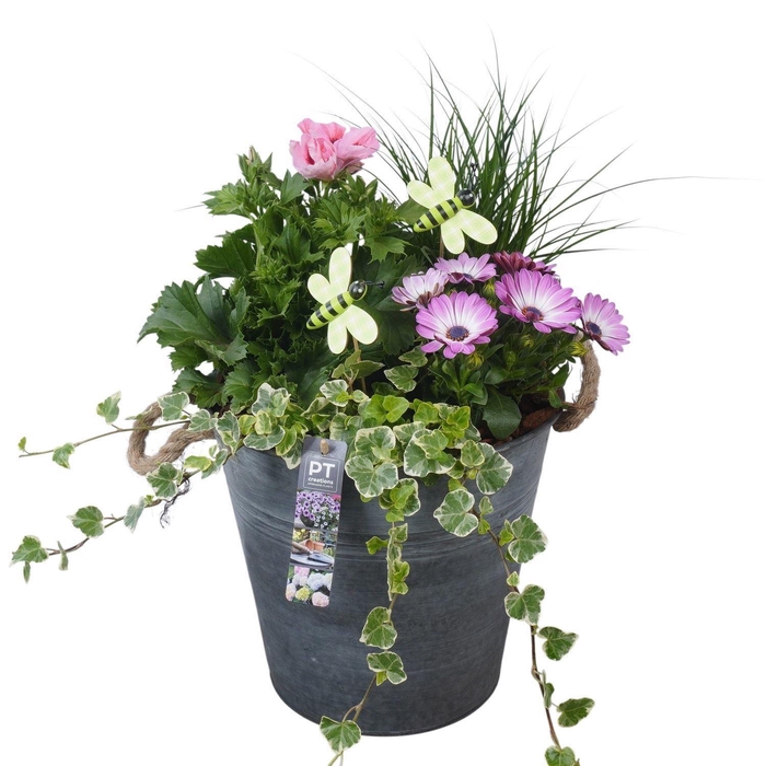 <h4>Arr.   Perkplanten H%</h4>